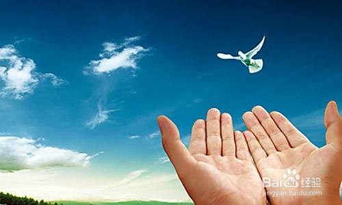 对外界一无所知高考志愿怎么填