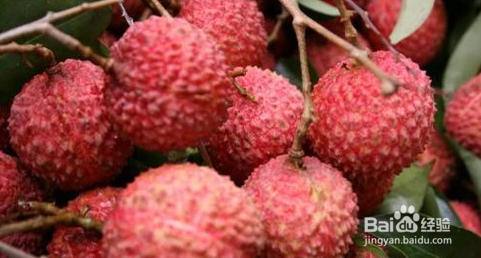 哪些食物不适合在早孕先兆流产的情况下食用？