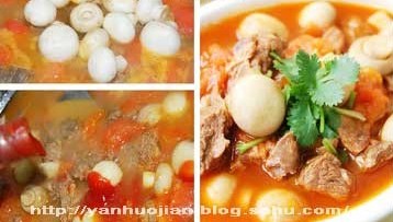 教你做西红柿炖牛腩