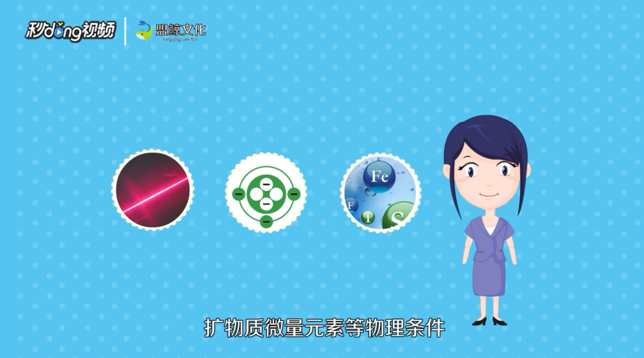 桑拿和汗蒸有哪些区别