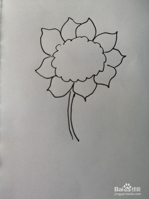 漂亮的小葵花怎么画