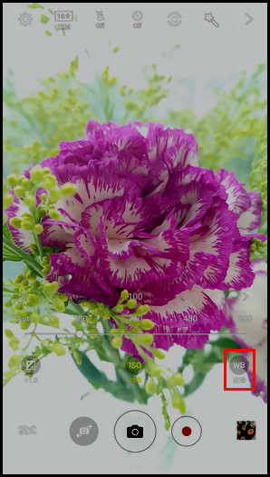 Samsung Galaxy C7 SM-C7000(6.0.1)如何使用专业模式拍照?