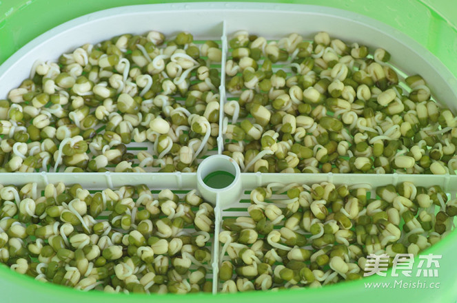 春天种豆芽的做法