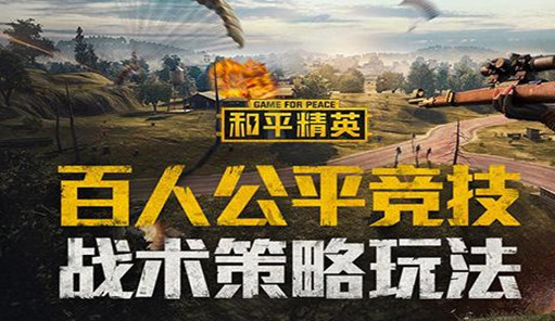 和平营地实名认证成功会咋样
