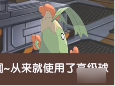 口袋之旅,怎么恢复以前的号