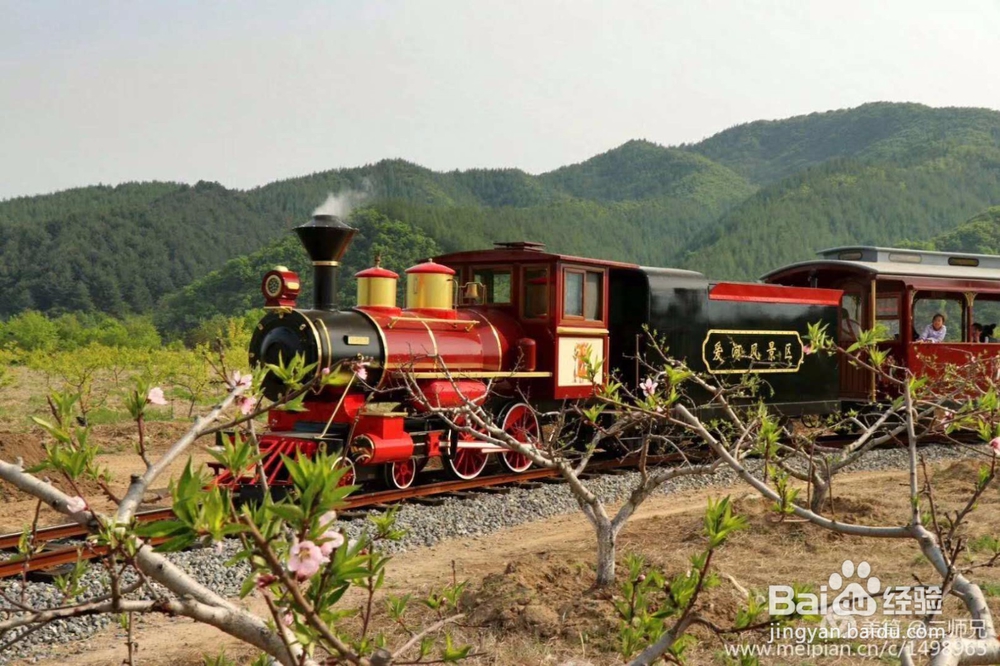 观光小火车建设项目可行性研究报告计划书