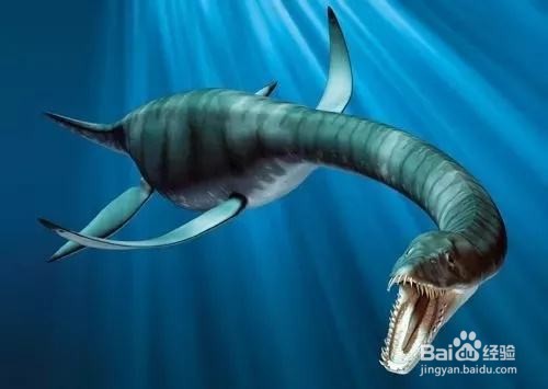 侏罗纪海里什么古生物最强?