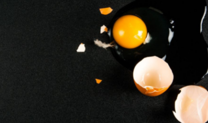 鸡蛋里有一坨黑色的东西可能是什么