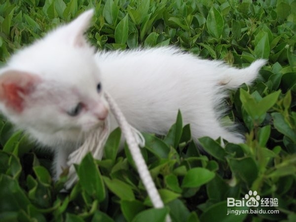 女生拍照如何拍出文艺范儿\小清新范儿