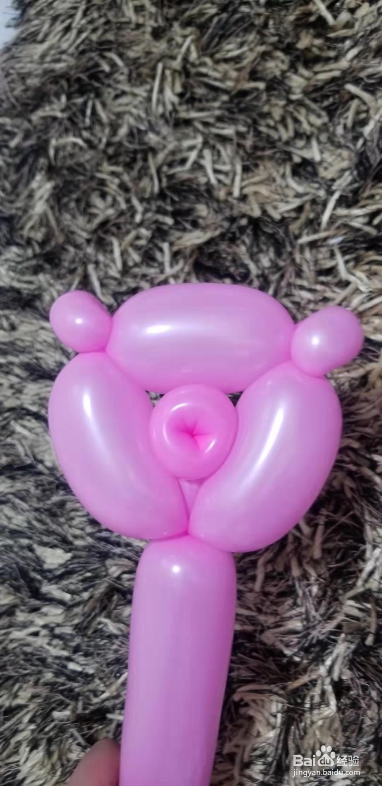 我爱气球之魔术气球--如何制作小猪