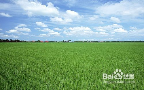 5个风光拍摄技巧