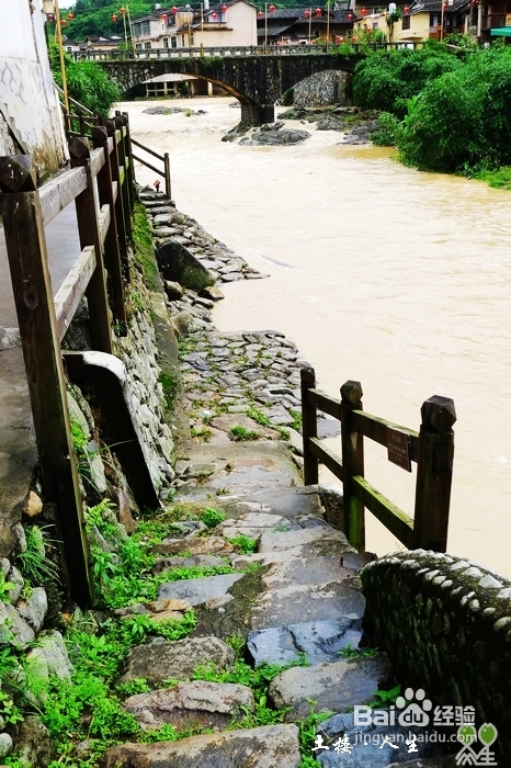 66@365【洪坑】土楼精华一日游