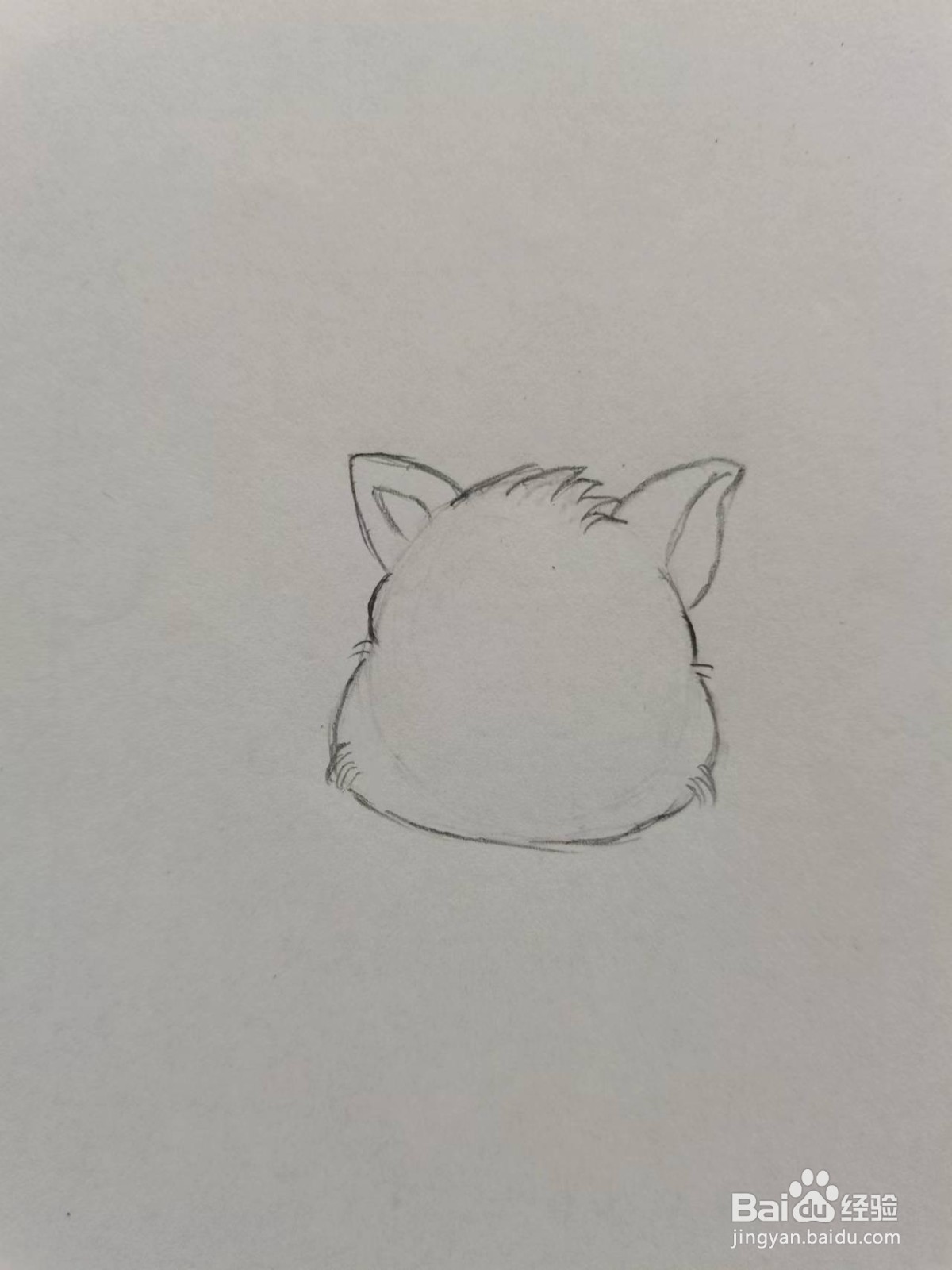 大尾巴鼠怎么画