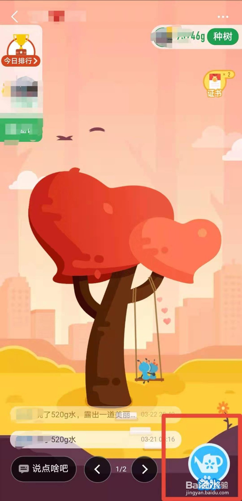 如何在支付宝蚂蚁森林中给合种的树浇水