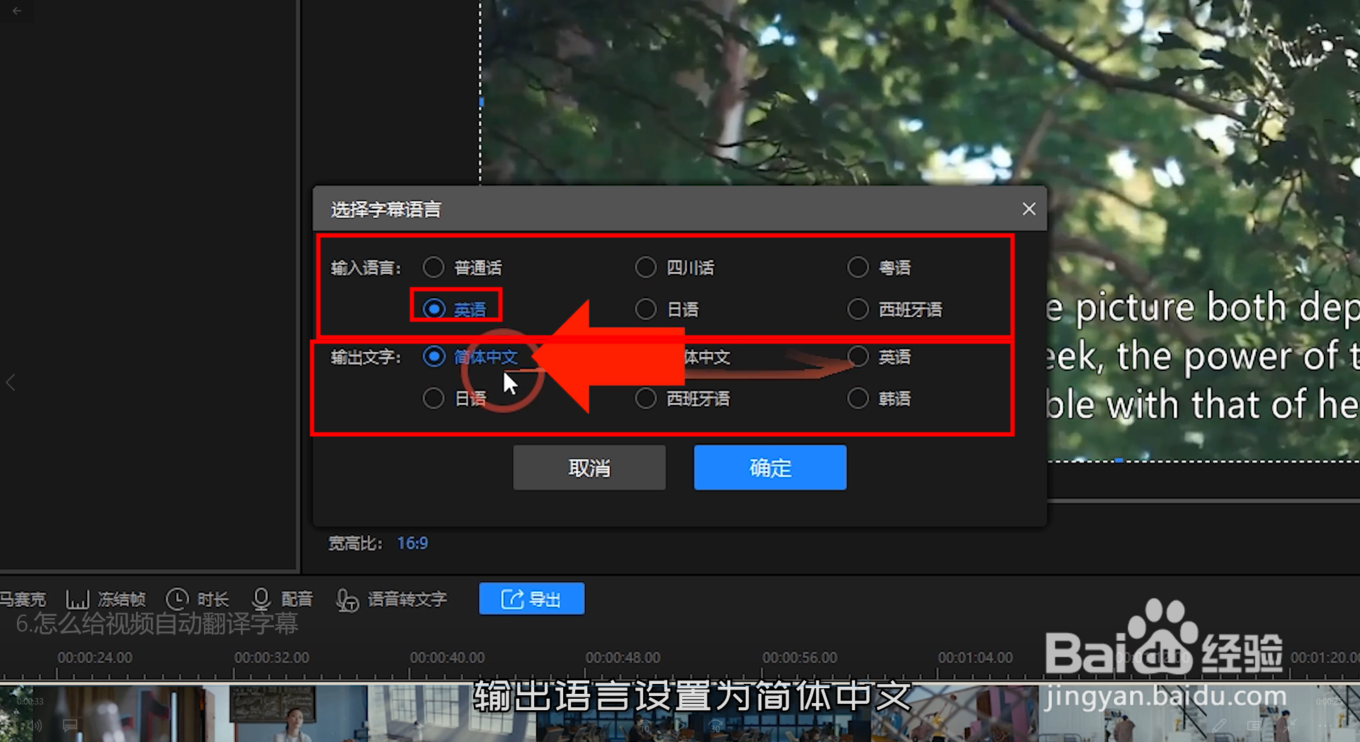 怎么给视频自动翻译字幕