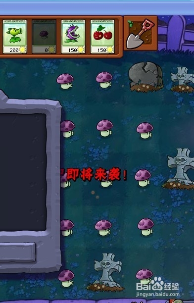 植物大战僵尸快速通关游戏攻略：[21]2-6.1