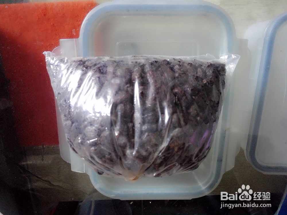 豆豉煎新鲜带鱼的做法