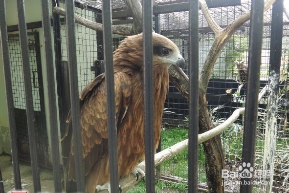 韩国光州牛峙公园旅游攻略