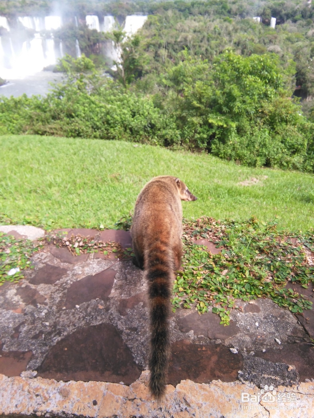 巴西主要景点旅游攻略