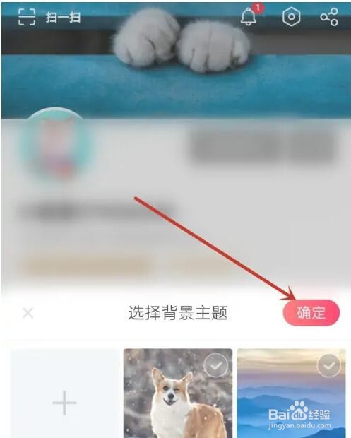 搜孤视频背景主题怎么切换