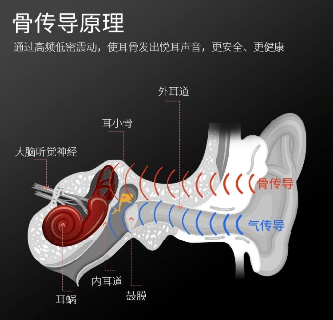 骨传导耳机和气传导耳机的区别？骨传导耳机更适合你的耳朵
