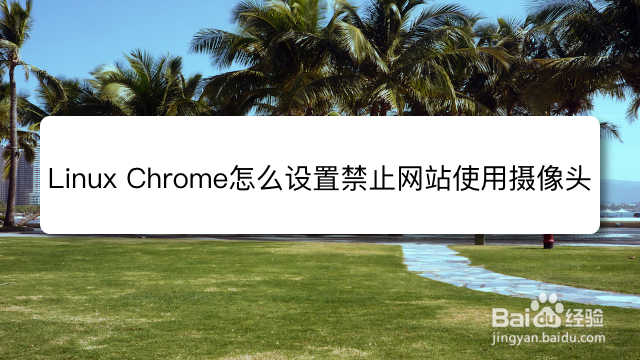 <b>Linux Chrome怎么设置禁止网站使用摄像头</b>