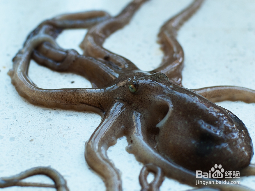 弱精症吃什么好,弱精症的治疗方法有哪些?