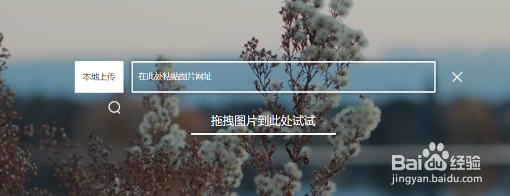 如何使用百度识图来鉴别图片
