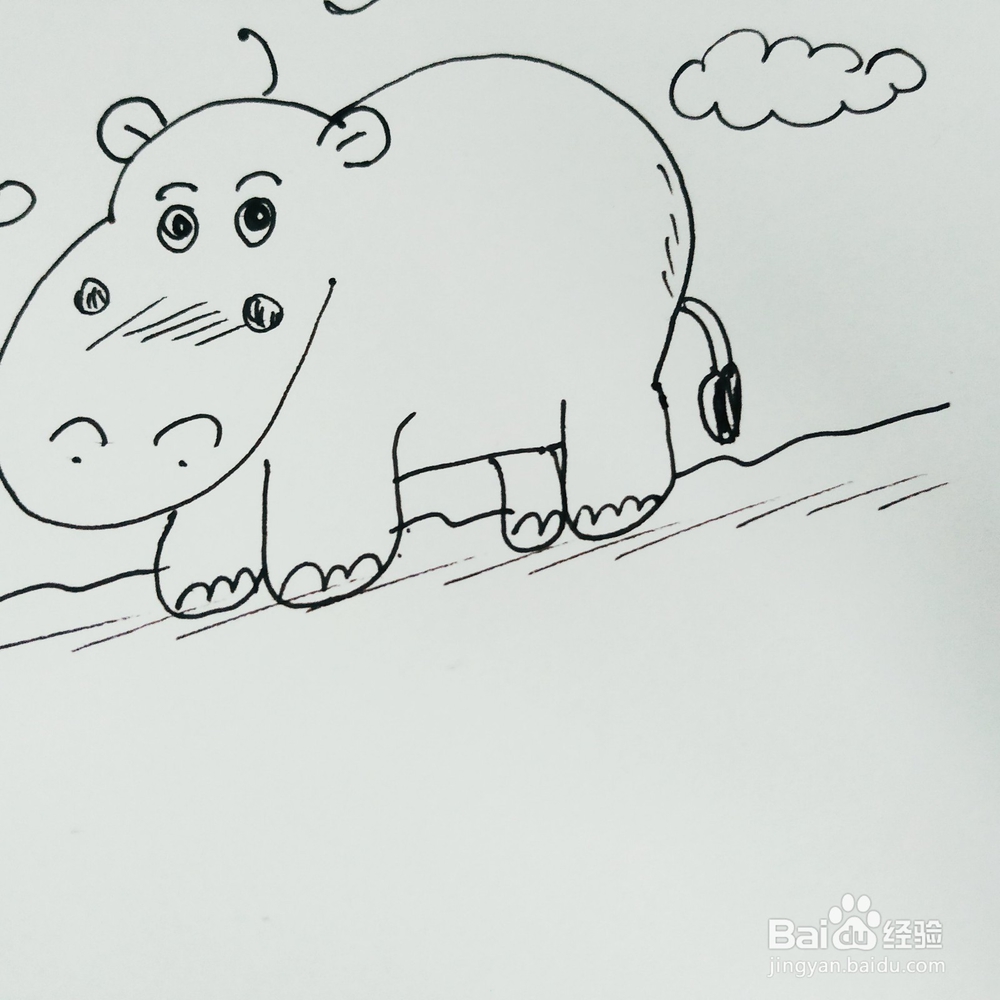 怎么来画一只卡通河马简笔画？
