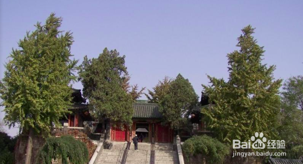 济南大明湖公园怎么游玩？