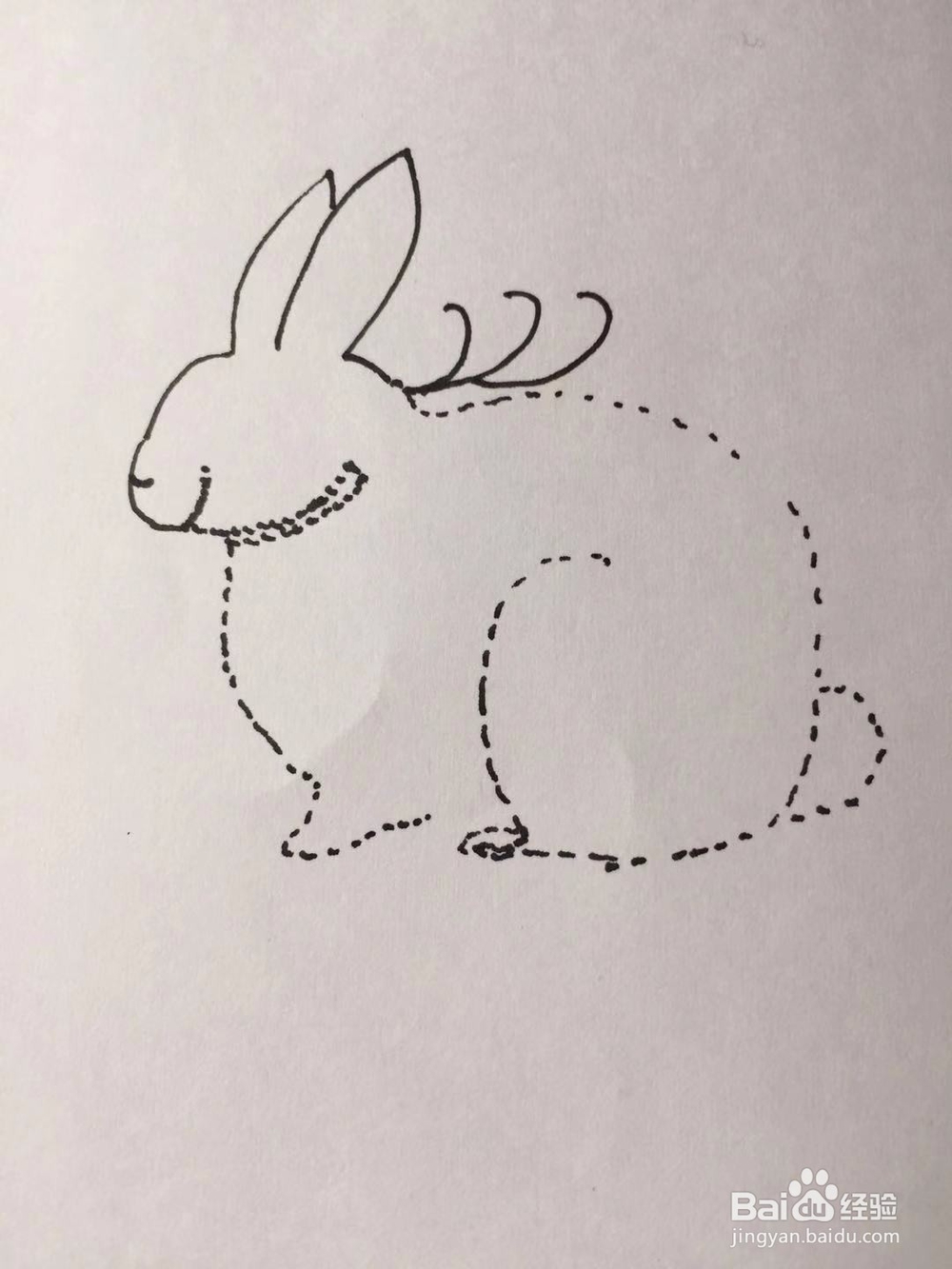 茉莉手绘之兔子