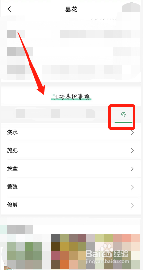 昙花冬天怎么养才能安全过冬?