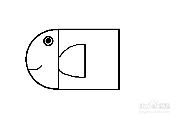 怎么画鱼-简笔画(19)