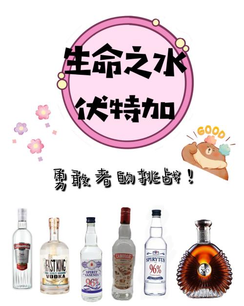 生命之水伏特加 勇敢者的挑战 百度经验