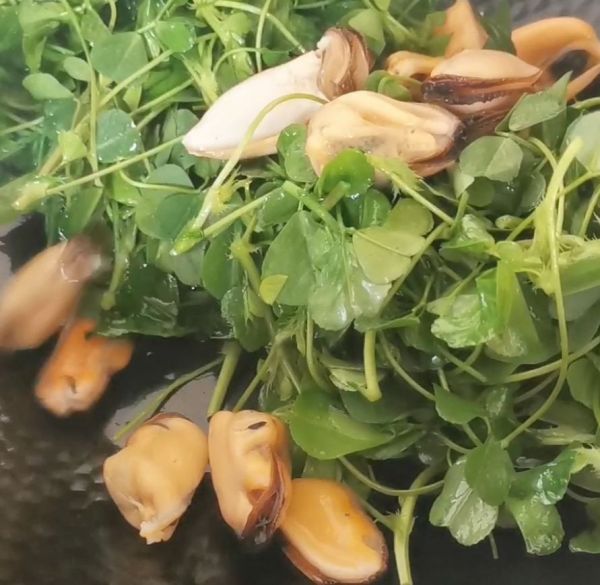 上汤贻贝金花菜