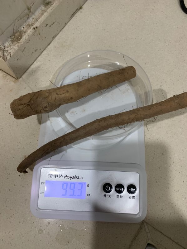 鲍鱼花菇玉竹煲排骨