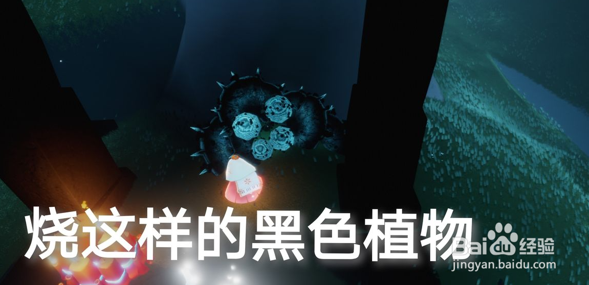 光遇2.5任务攻略