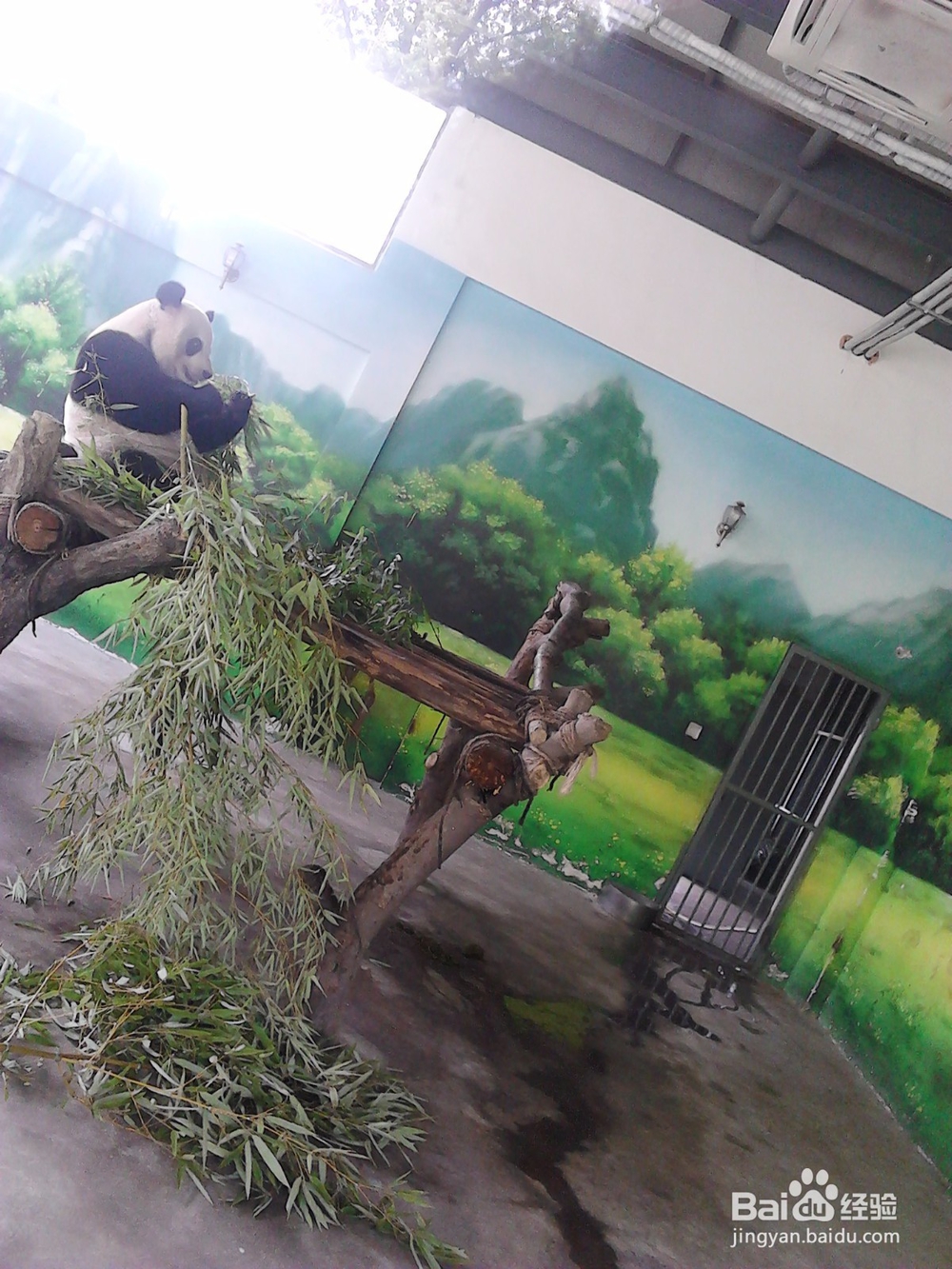 元旦节假日 如何提升景区服务质量?