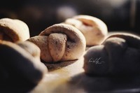 写给烤箱的情书?