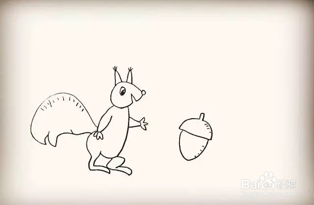 简笔画怎么画可爱小松鼠？