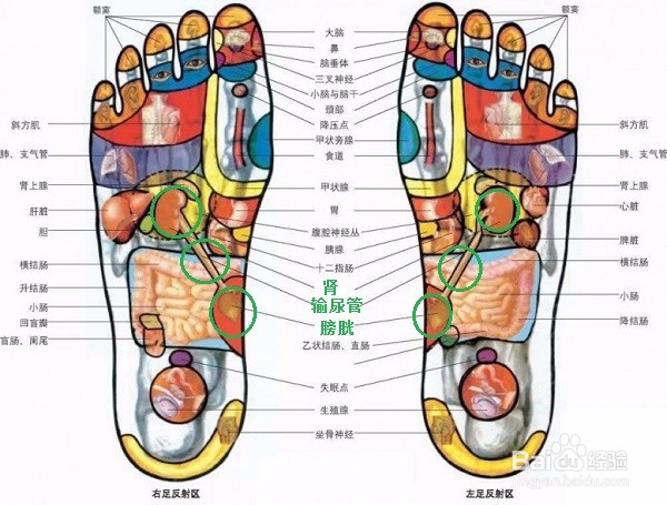 按摩调理营养不良
