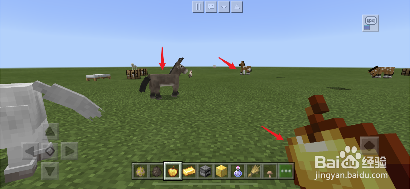 我的世界骡子怎么获得