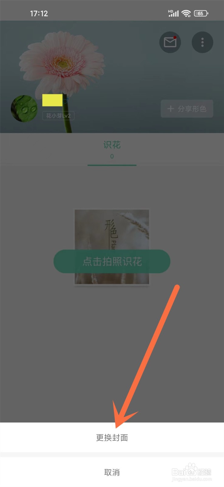 形色app背景图怎么设置