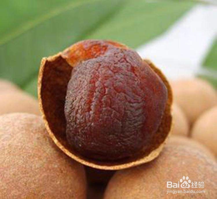 龙眼干有什么吃法