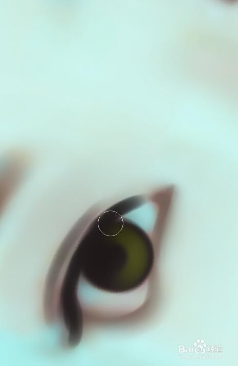 转手绘之蜀山战纪周青云