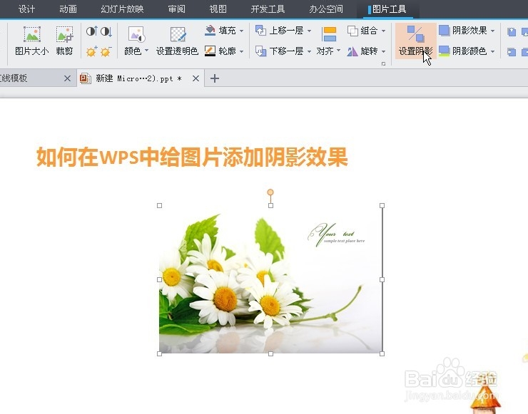 WPS中如何给图片添加阴影效果