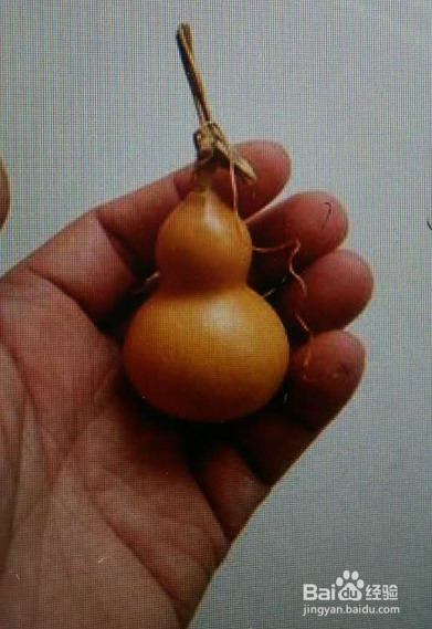 手捻葫芦怎么盘