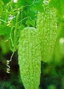 生活小常识（一）：[1]