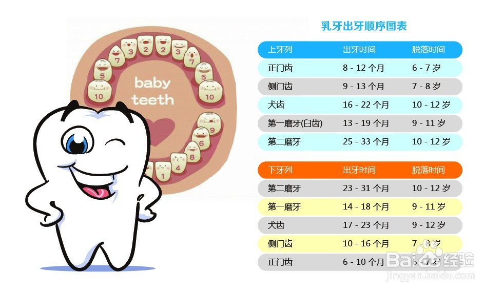 <b>怎么保护孩子的牙齿</b>