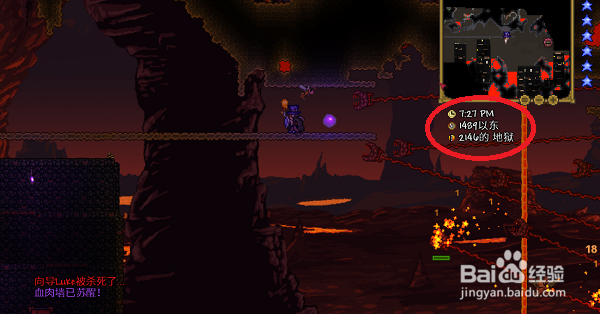 泰拉瑞亚肉山如何召唤,肉山怎么打